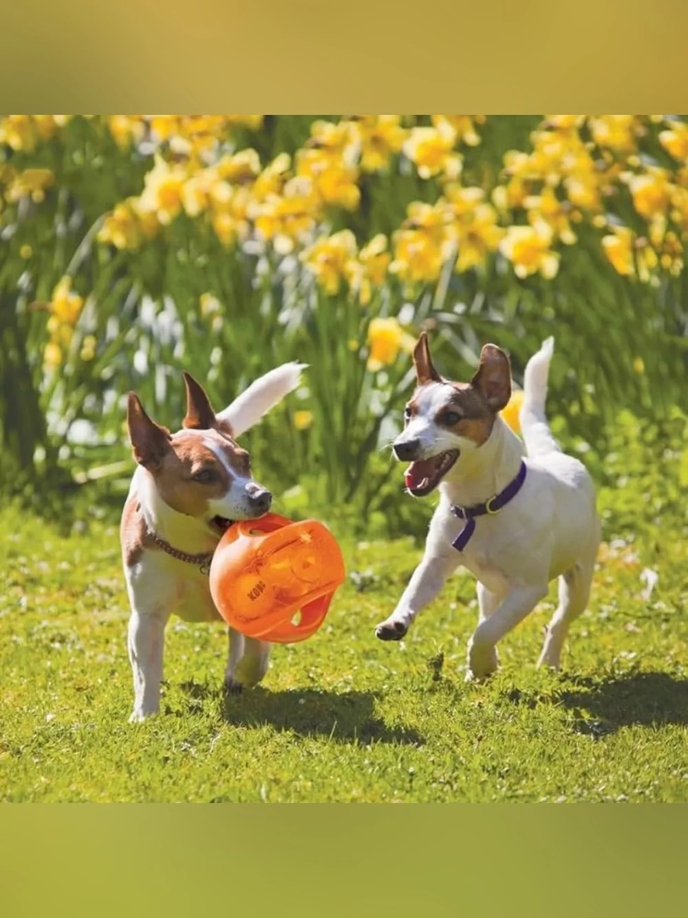 KONG Jumbler Ball - Interactive Dog Toy for Dog & Puppy Playtime - Fetch Toy wit